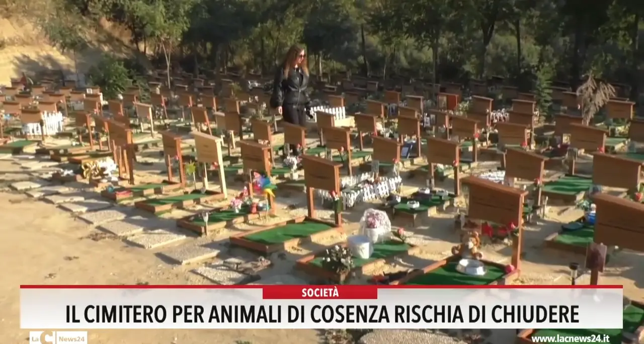 Il cimitero per animali di Cosenza rischia di chiudere