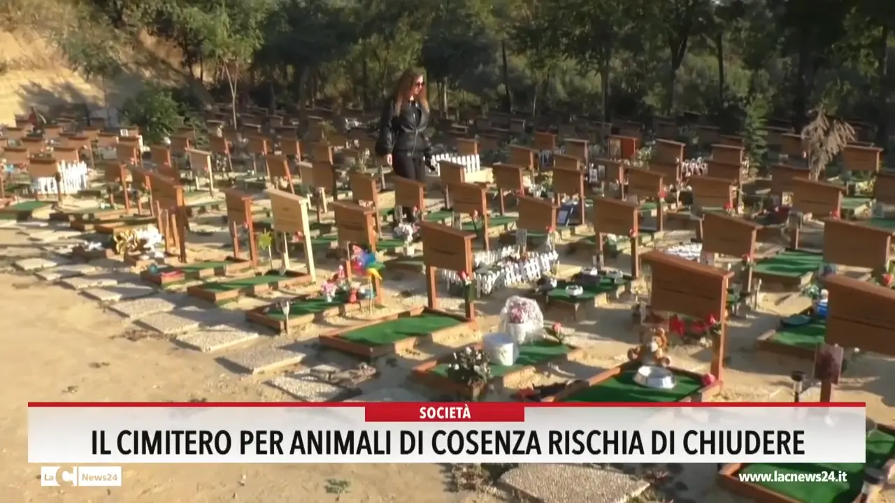 Il cimitero per animali di Cosenza rischia di chiudere