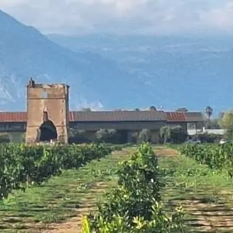 La centrale di Thurio (Corigliano-Rossano) testimone di 50 anni di storia: dalla riforma agraria alla rinascita\n