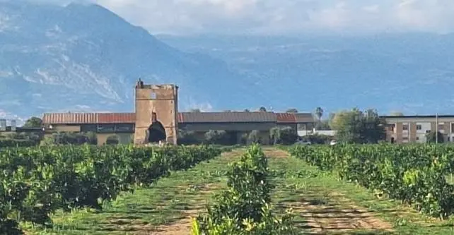 La centrale di Thurio (Corigliano-Rossano) testimone di 50 anni di storia: dalla riforma agraria alla rinascita\n