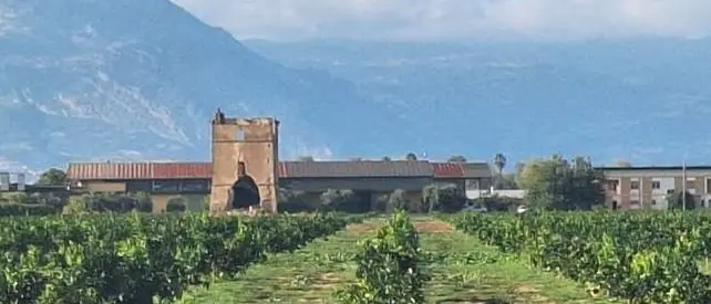 La centrale di Thurio (Corigliano-Rossano) testimone di 50 anni di storia: dalla riforma agraria alla rinascita\n