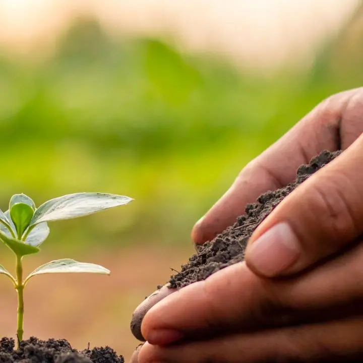 A Rende tutto pronto per il simposio nazionale sulla conservazione dei semi antichi e della biodiversità agricola