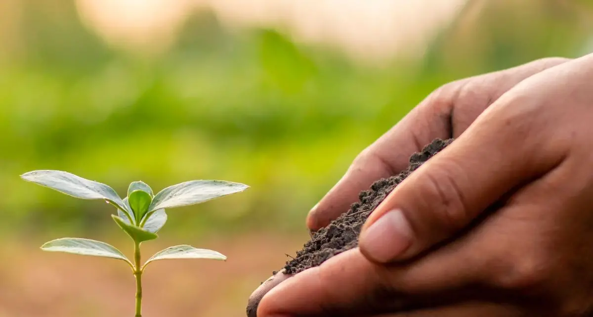 A Rende tutto pronto per il simposio nazionale sulla conservazione dei semi antichi e della biodiversità agricola
