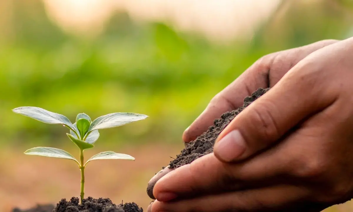 A Rende tutto pronto per il simposio nazionale sulla conservazione dei semi antichi e della biodiversità agricola