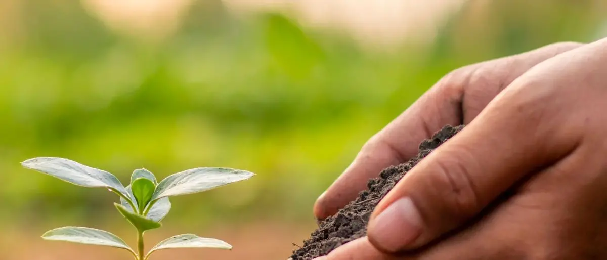 A Rende tutto pronto per il simposio nazionale sulla conservazione dei semi antichi e della biodiversità agricola