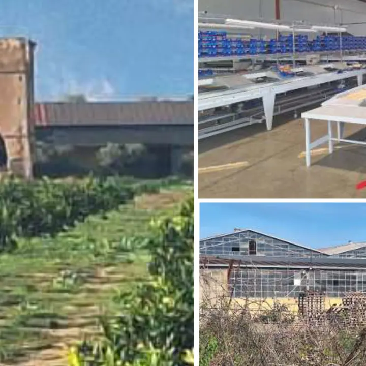 Thurio e la centrale che custodisce i segreti della Riforma Agraria Calabrese