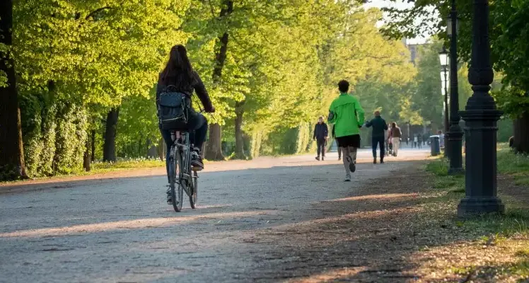 Ecosistema urbano, Cosenza unica città del Meridione nella top 20\n
