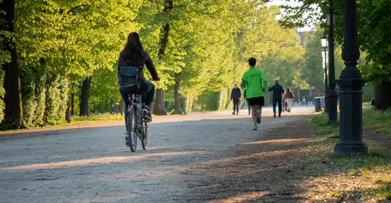 Ecosistema urbano, Cosenza unica città del Meridione nella top 20\n
