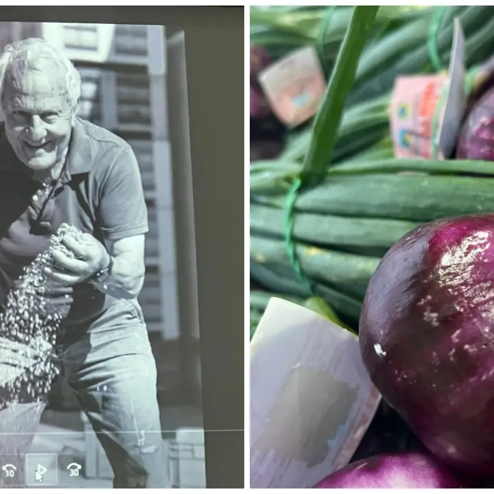 L’identità calabrese raccontata attraverso la coltivazione della cipolla rossa tra\u00A0Parghelia e Ricadi\n