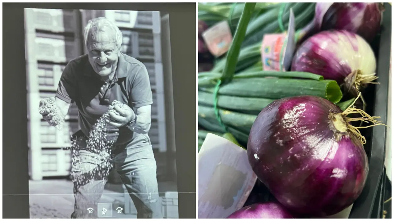 L’identità calabrese raccontata attraverso la coltivazione della cipolla rossa tra\u00A0Parghelia e Ricadi\n