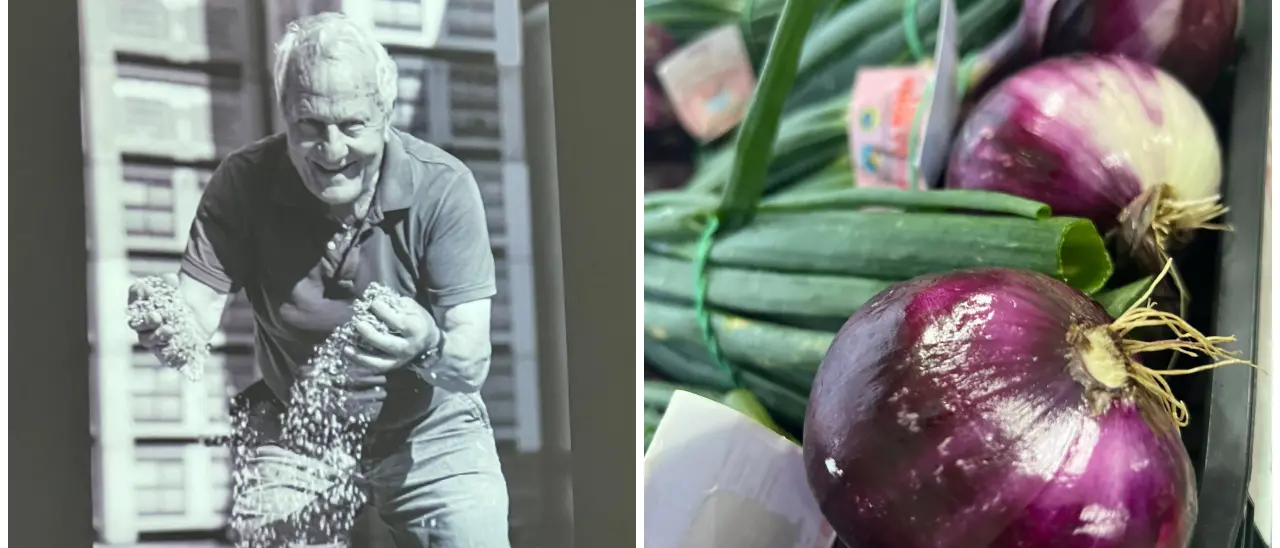 L’identità calabrese raccontata attraverso la coltivazione della cipolla rossa tra\u00A0Parghelia e Ricadi\n