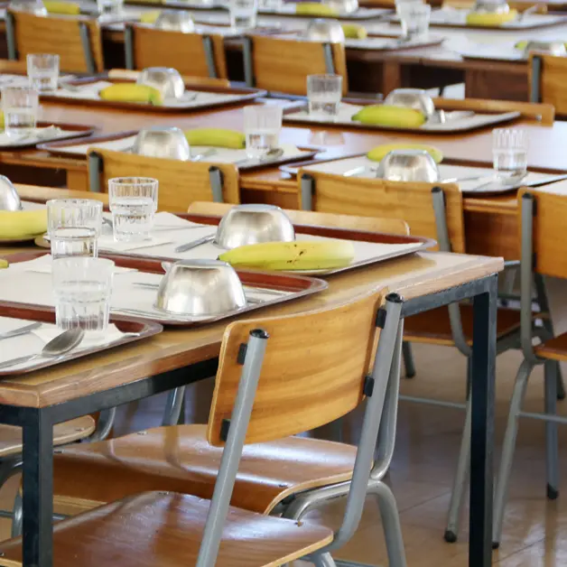 Rende, il Comune rimborsa le spese per la mensa scolastica a 500 bambini\n
