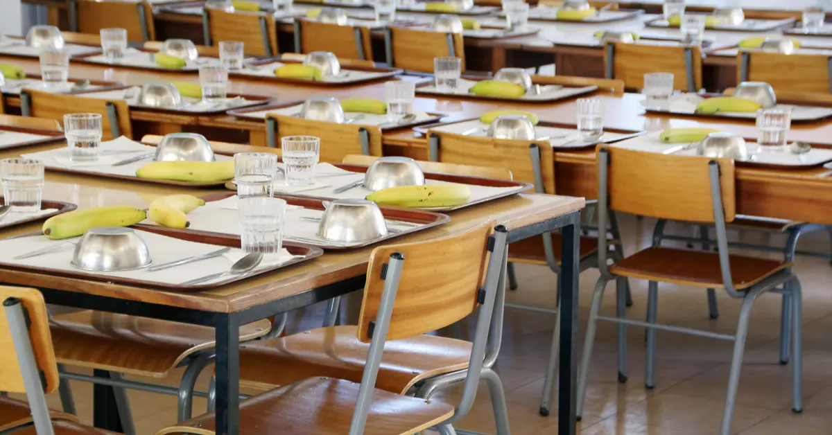 Rende, il Comune rimborsa le spese per la mensa scolastica a 500 bambini\n