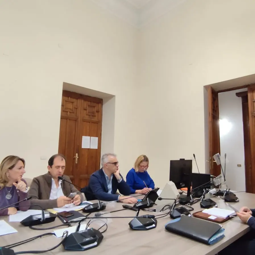 Reggio, si va avanti sulle Circoscrizioni: Falcomatà audito in II Commissione e Giordano illustra la road map