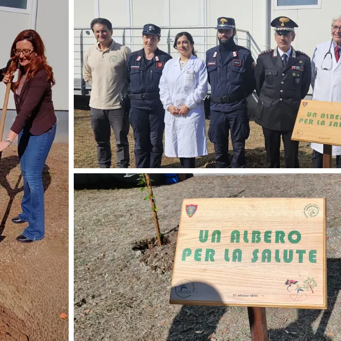 Agli ospedali\u00A0di Vibo e Reggio arriva “Un albero per la salute”: la piantumazione ad opera di Fadoi e carabinieri forestali\n