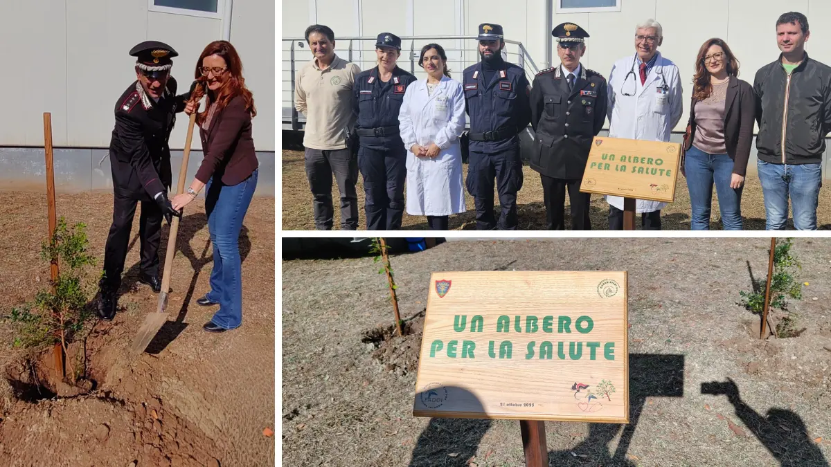 Agli ospedali\u00A0di Vibo e Reggio arriva “Un albero per la salute”: la piantumazione ad opera di Fadoi e carabinieri forestali\n