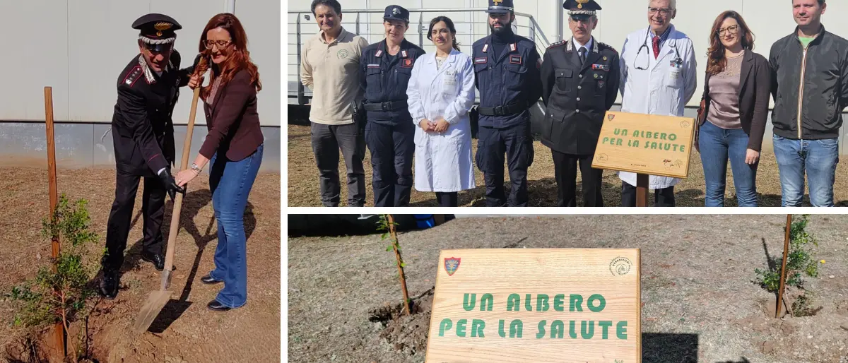 Agli ospedali\u00A0di Vibo e Reggio arriva “Un albero per la salute”: la piantumazione ad opera di Fadoi e carabinieri forestali\n