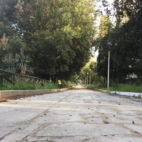 Vibo, McDonald’s dona nuovi alberi alla città e promuove una giornata di raccolta rifiuti con Comune e scuole