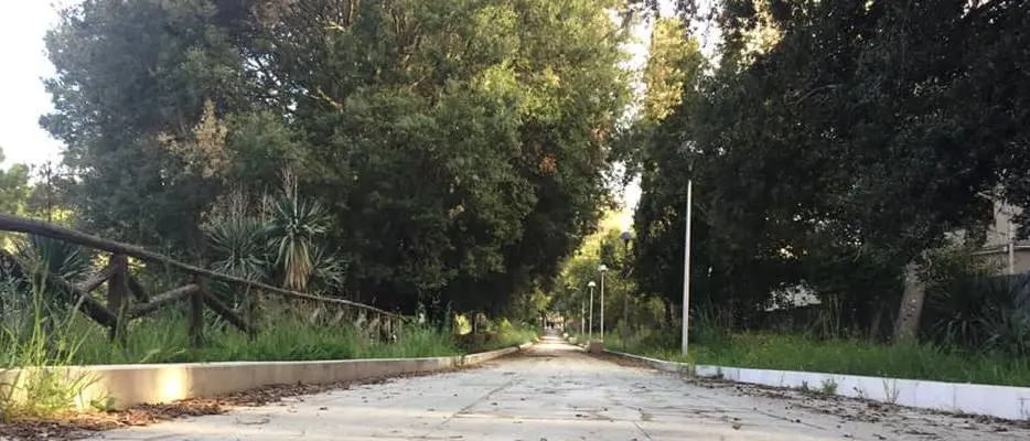 Vibo, McDonald’s dona nuovi alberi alla città e promuove una giornata di raccolta rifiuti con Comune e scuole