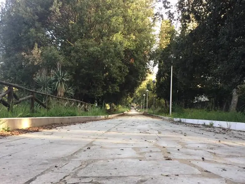 Vibo, McDonald’s dona nuovi alberi alla città e promuove una giornata di raccolta rifiuti con Comune e scuole