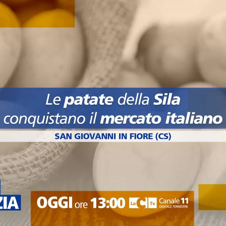 Le patate della Sila conquistano il mercato italiano: focus a Dentro la Notizia\n