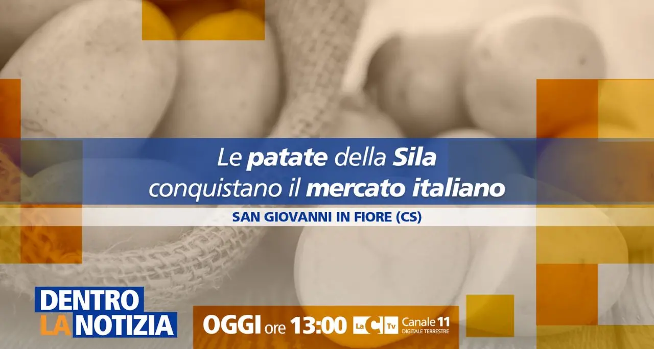 Le patate della Sila conquistano il mercato italiano: focus a Dentro la Notizia\n