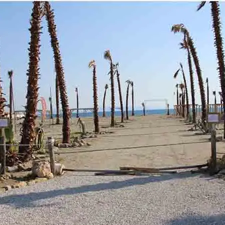 Stabilimento balneare e discoteca pronti, quasi tutto abusivo