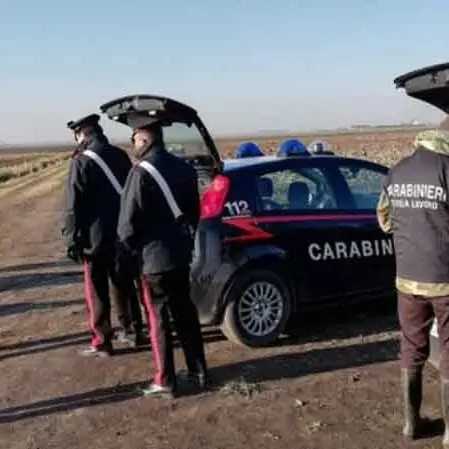 Caporalato, operazione dei Carabinieri nel Catanzarese