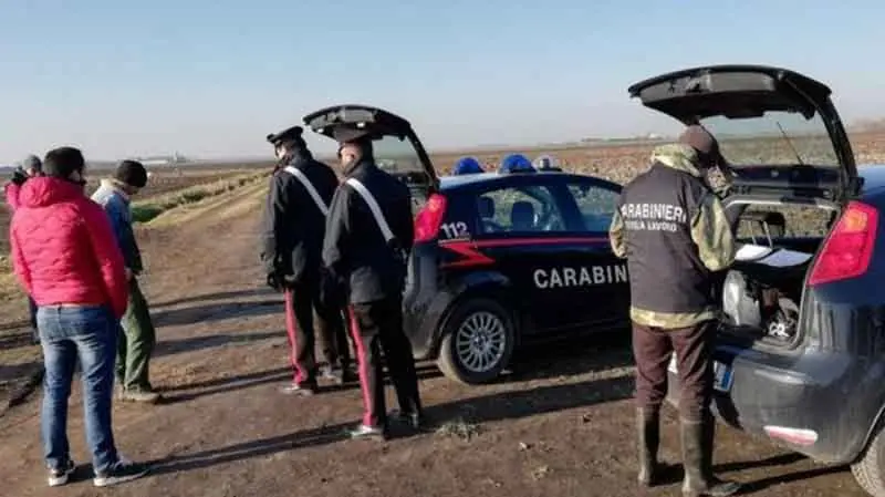 Caporalato, operazione dei Carabinieri nel Catanzarese