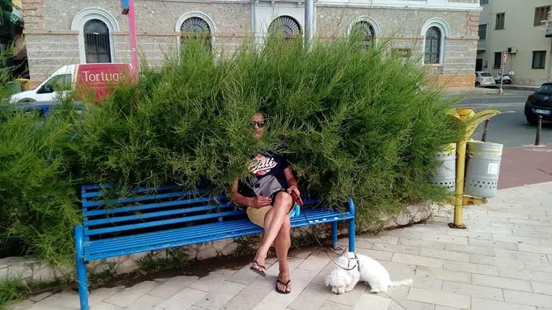 Catanzaro, città in cui ti 'immergi' anche nel verde