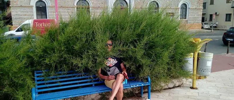 Catanzaro, città in cui ti 'immergi' anche nel verde