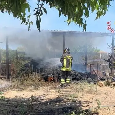 Legnaia a fuoco, anziano muore per salvare il pollame