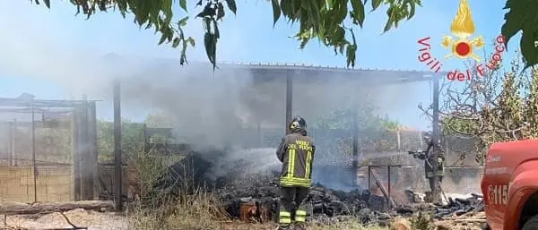 Legnaia a fuoco, anziano muore per salvare il pollame