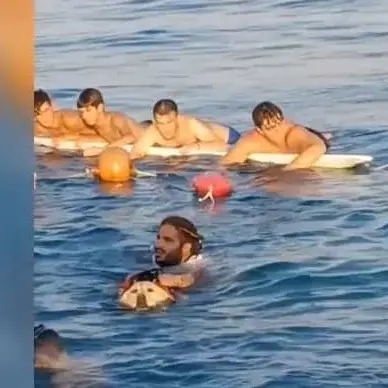 In 4 aggrappati ad un surf: salvati da cane e conduttore