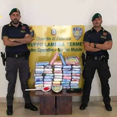 Panetti di cocaina in auto: conducente finisce a Siano