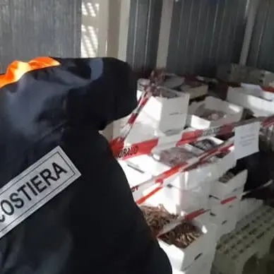 Quintali di pesce sequestrati dalla Guardia costiera in città