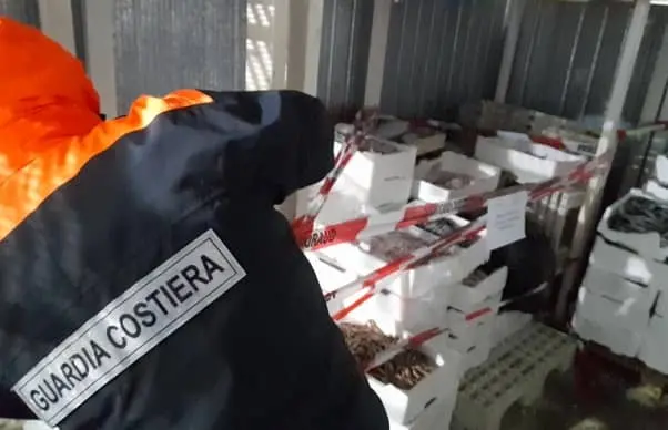 Quintali di pesce sequestrati dalla Guardia costiera in città