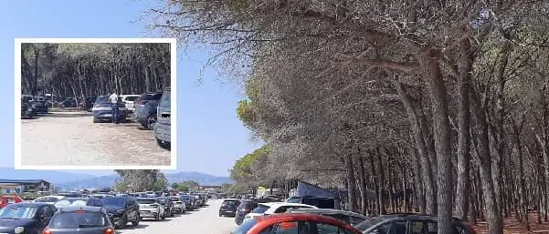Controlli di polizia anti-falò sul pic-nic di Ferragosto