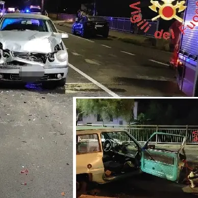 Panda contro Polo: mamma e figlia ferite, cagnolino disperso