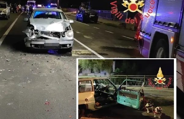 Panda contro Polo: mamma e figlia ferite, cagnolino disperso