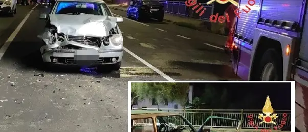 Panda contro Polo: mamma e figlia ferite, cagnolino disperso