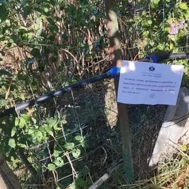 Irrigava l'orticello privato, 300 litri al minuto: denunciato