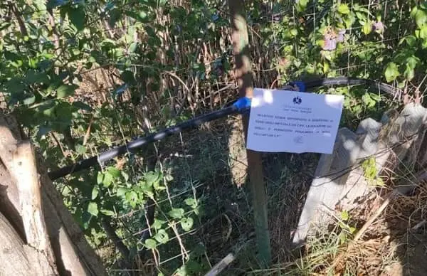 Irrigava l'orticello privato, 300 litri al minuto: denunciato