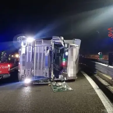 Tir di bestiame si ribalta sulla SS280: ferito il conducente