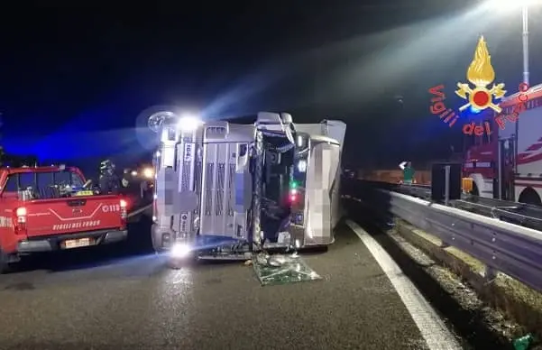 Tir di bestiame si ribalta sulla SS280: ferito il conducente