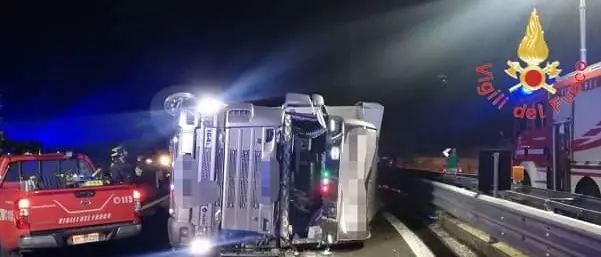Tir di bestiame si ribalta sulla SS280: ferito il conducente