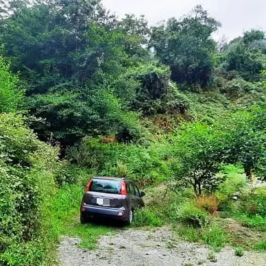 Disperse e impantanate in Sila: 19enni trovate dai Carabinieri