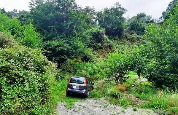 Disperse e impantanate in Sila: 19enni trovate dai Carabinieri