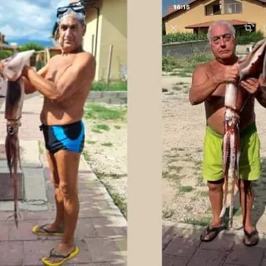 Totano gigante pescato nei fondali di Cropani Marina