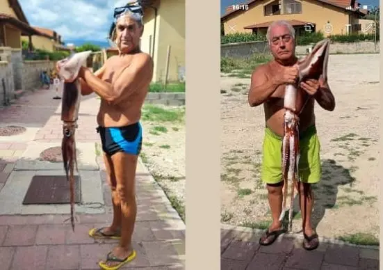 Totano gigante pescato nei fondali di Cropani Marina